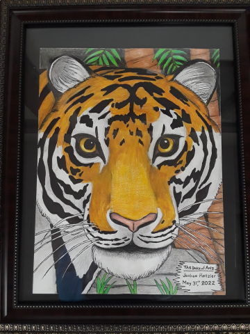 illustration of tiger