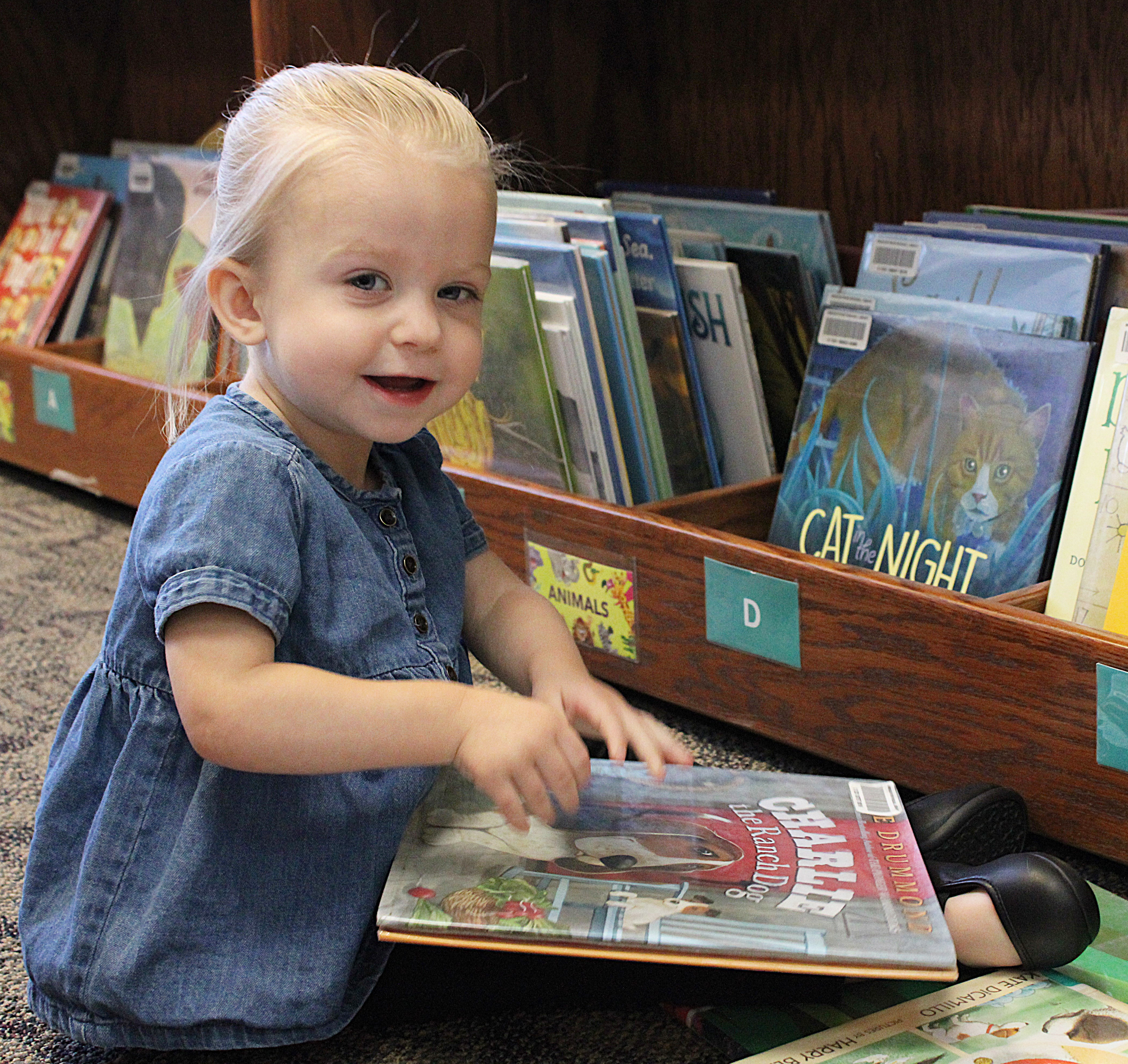 Kid looking at books in MRRL.