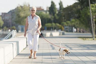 senior lady walking dog