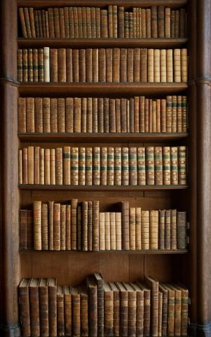 books-bookshelf of old books by RonPorter; Pixabay