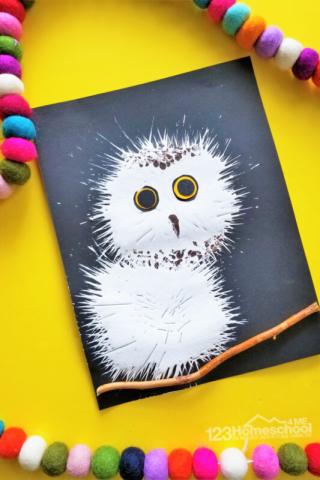 Snowy Baby Owl on black paper