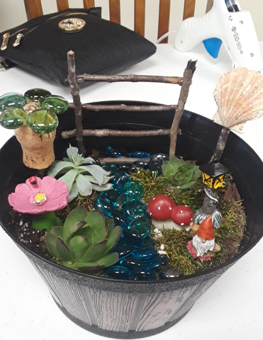 fairy garden with succulent, stones, and sticks