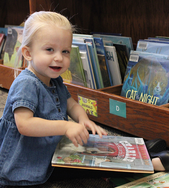 Kid looking at books in MRRL.